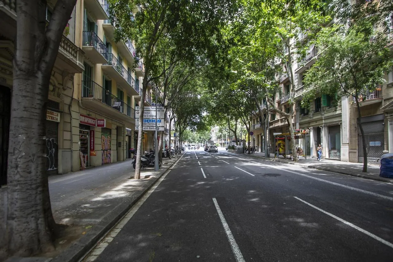 31Ent1027 - Mediterranean Decorated Apartment Barcelona